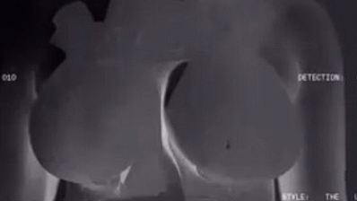 Uniphorm — gallery 1